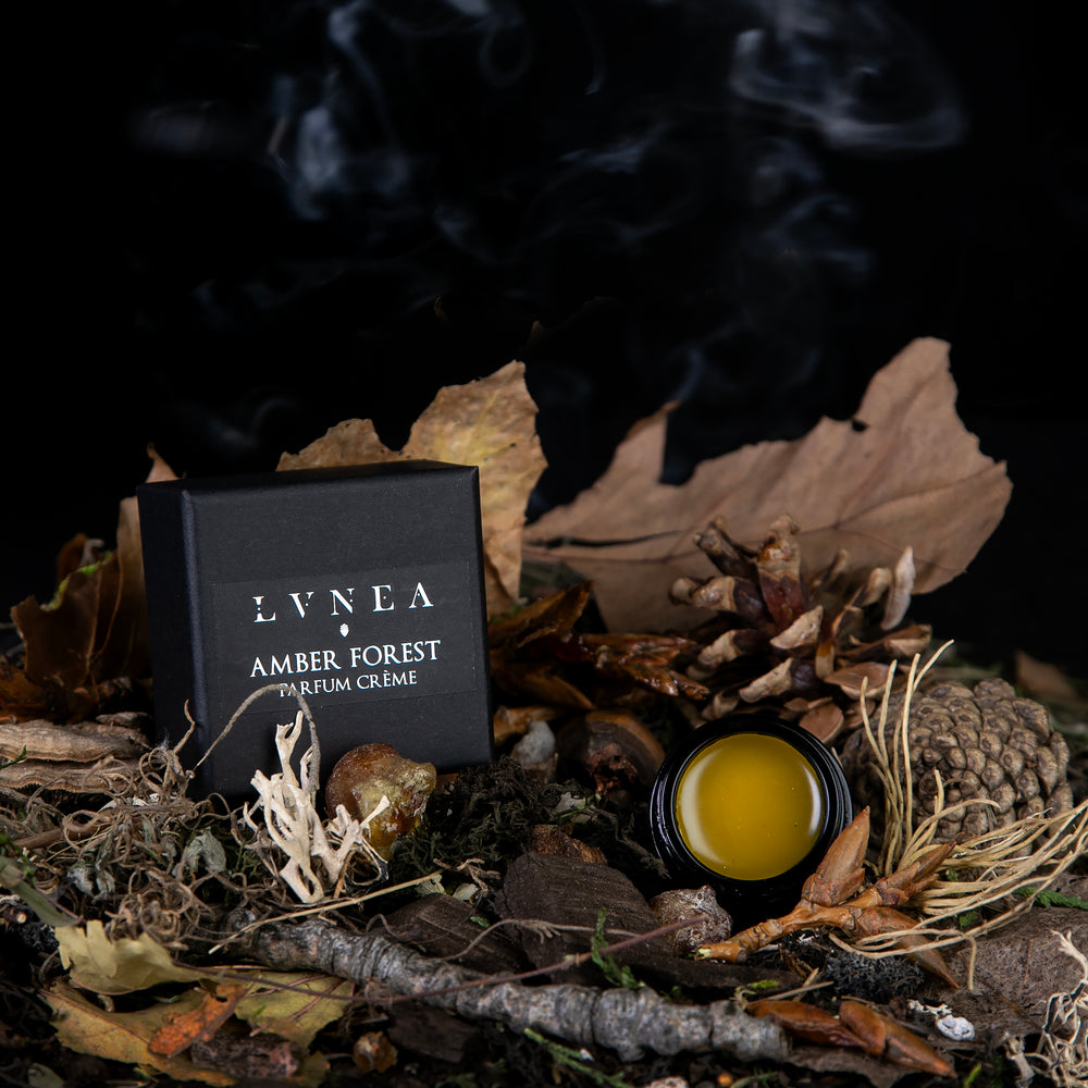 
                      
                        10g black glass pot of LVNEA's "amber forest" vegan solic perfume, open to reveal a golden balm. The pot is nestled in a pile of dried leaves, twigs, branches, and other botanicals.
                      
                    