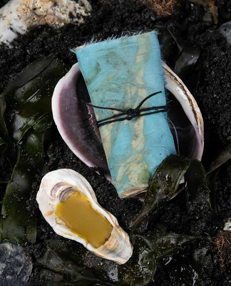 15ml bottle of Cape Pelorum eau de parfum sitting next to a solid version of the same perfume, encased in a beachcombed shell