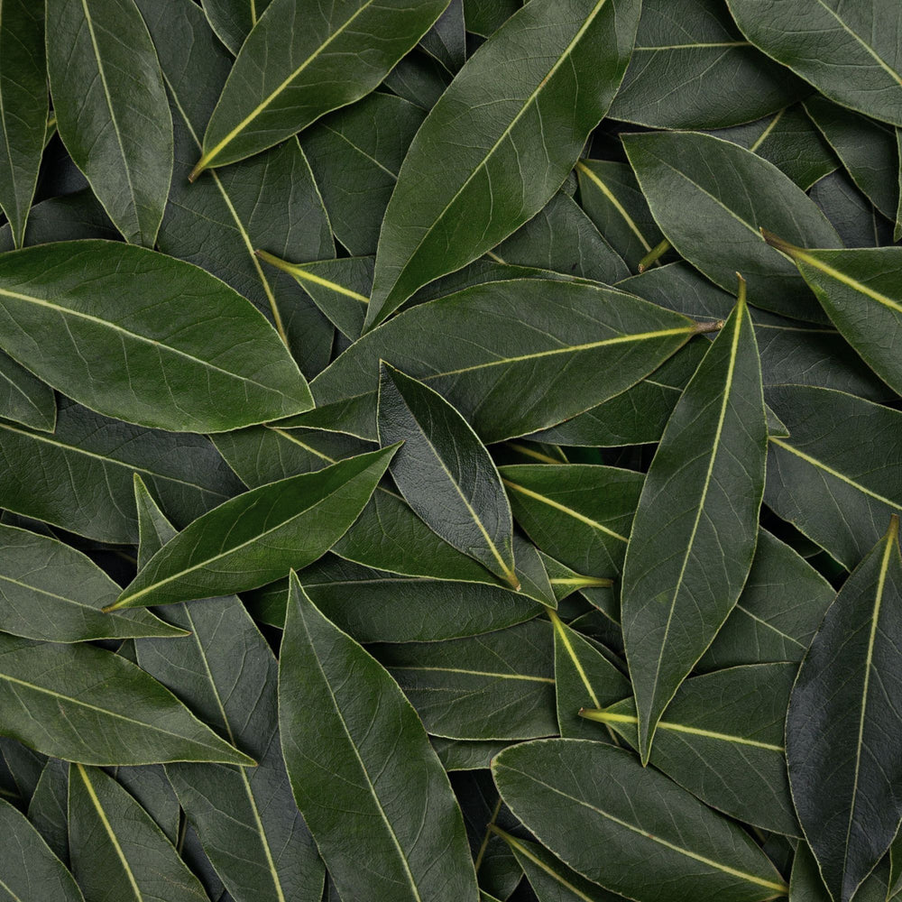 
                      
                        fresh bay laurel leaves scattered and taking up the entire frame
                      
                    