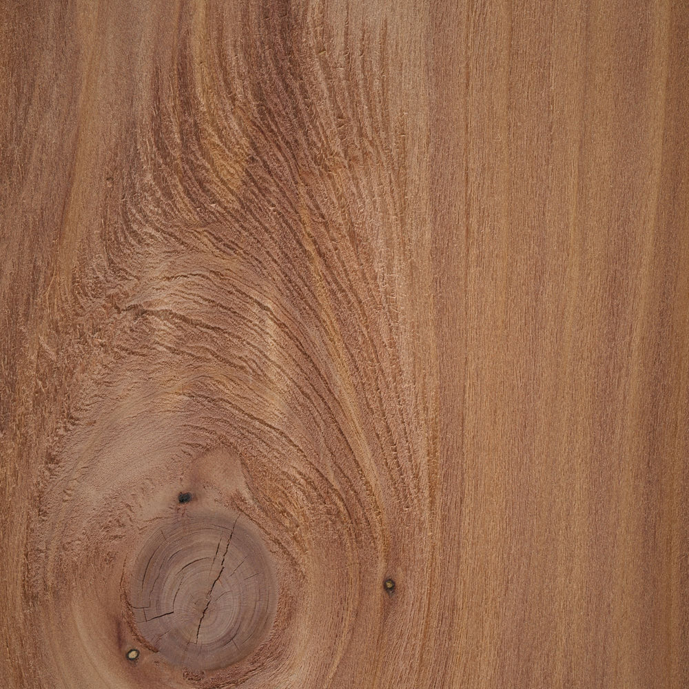 
                      
                        close up of a cut of blood cedarwood
                      
                    