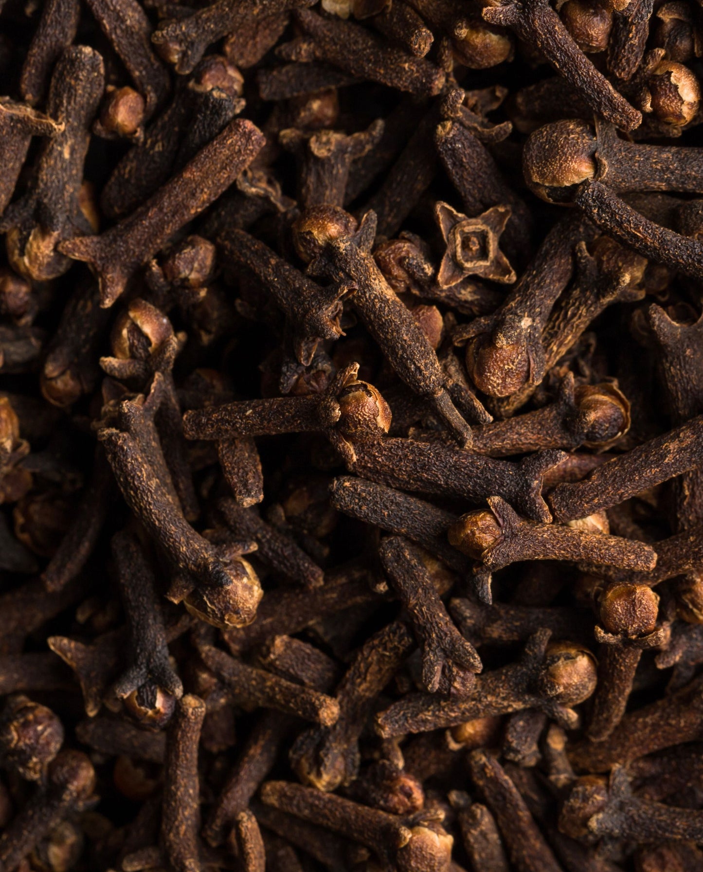 close up of dried clove buds 