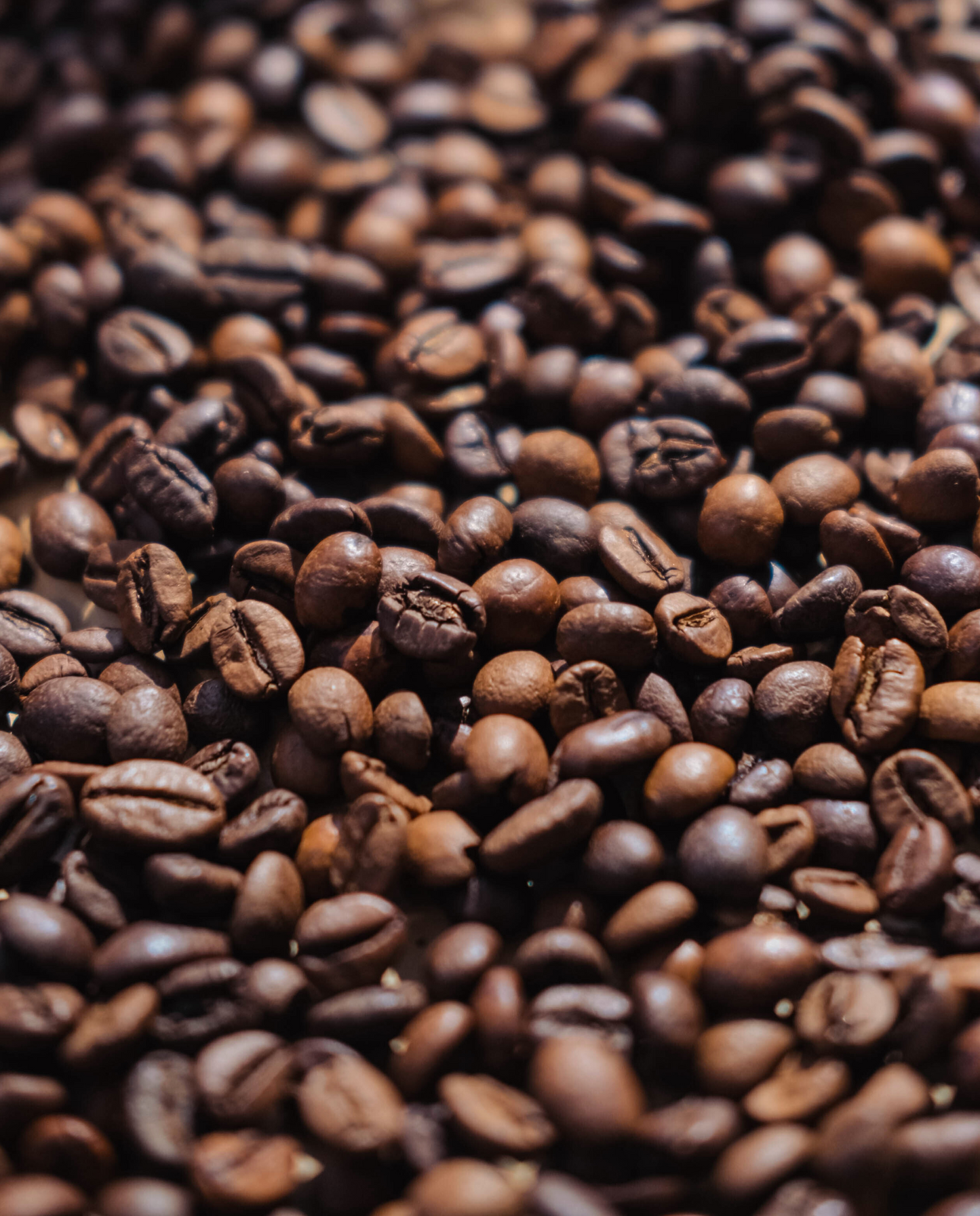 close up of roasted coffee beans