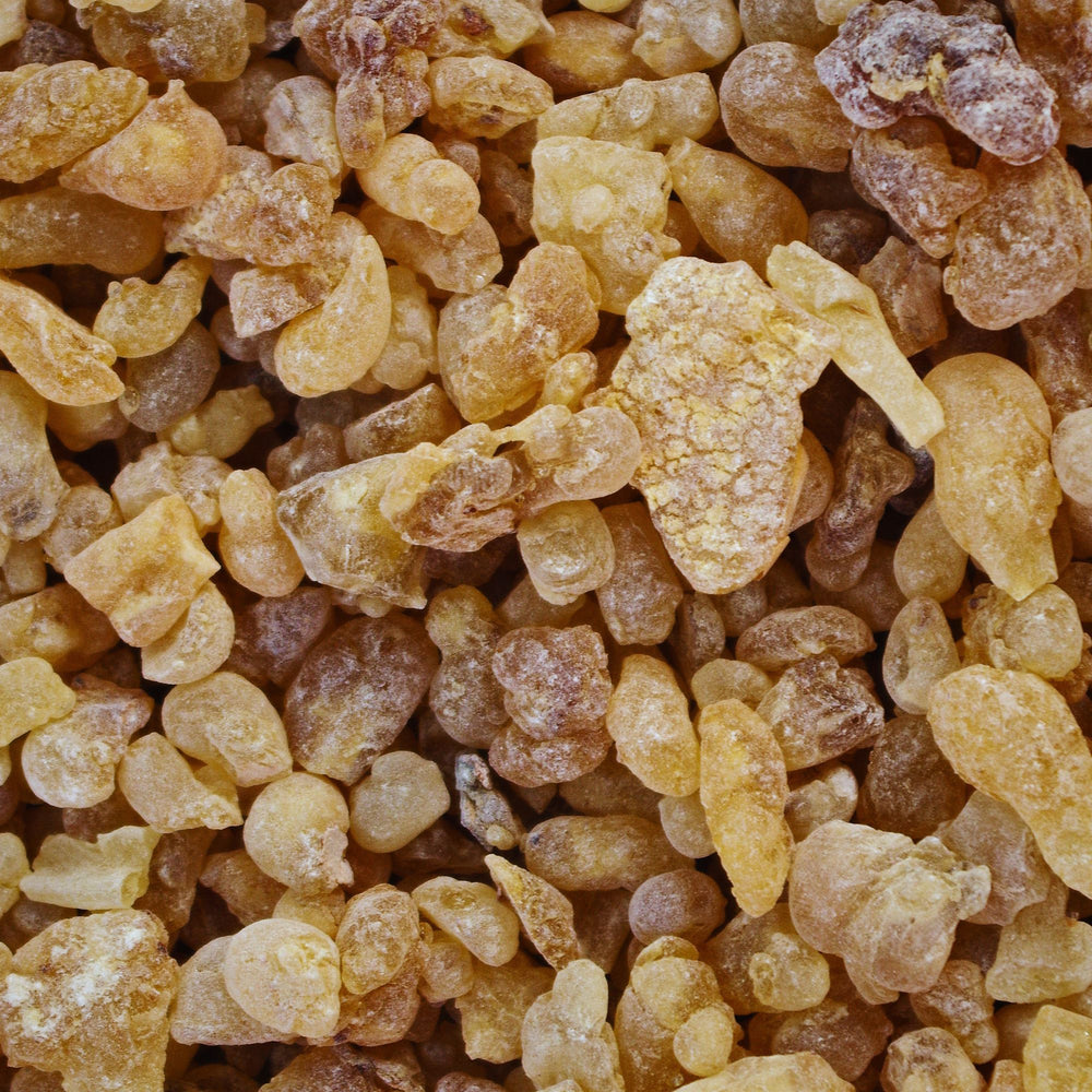 close up of frankincense resin nuggets