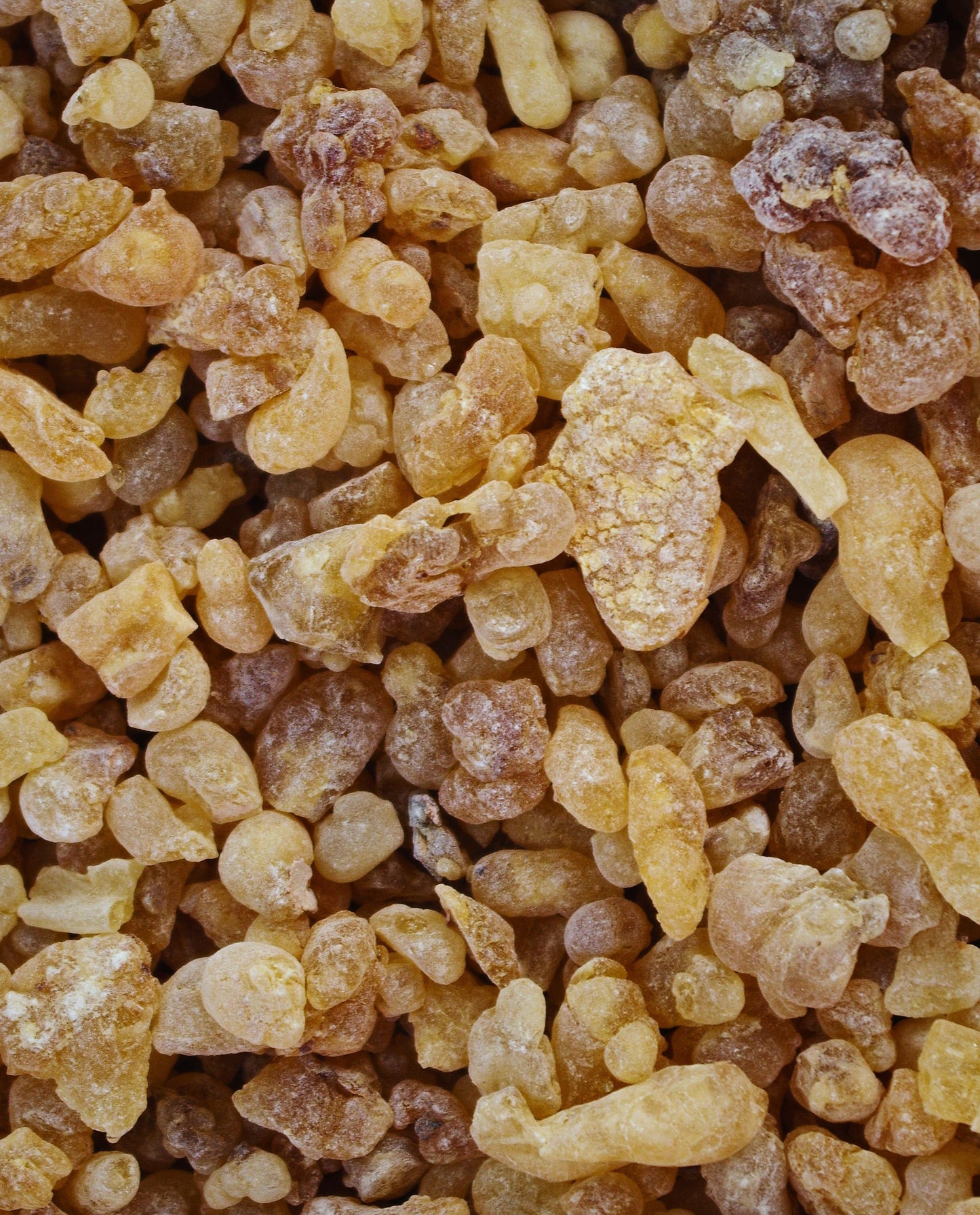 close up of frankincense resin nuggets