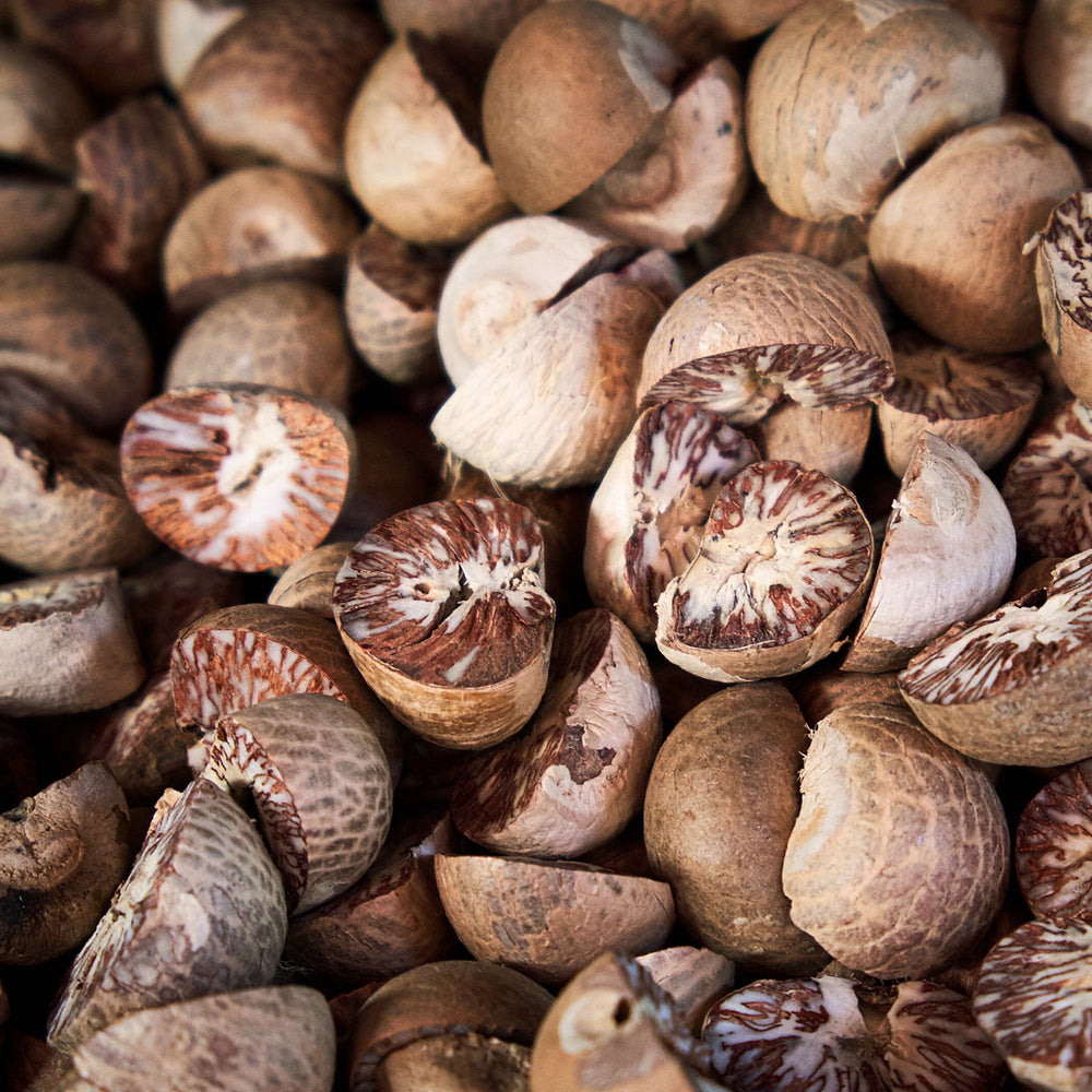 close up of whole nutmeg