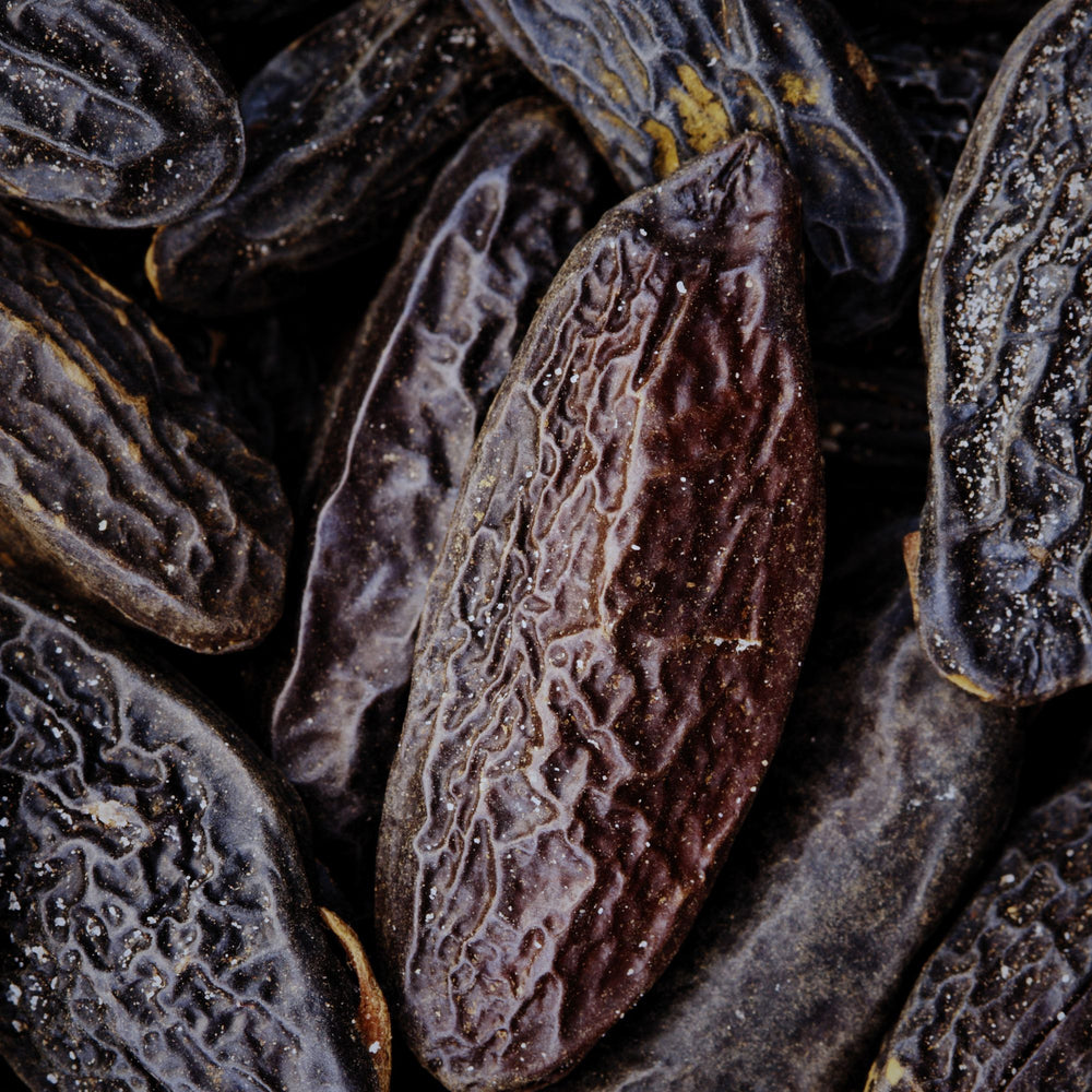 close up of a pile of dried tonka beans