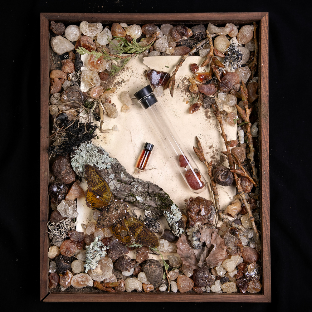 
                      
                        "Amber" diorama; an overhead still life of resins, fragrance vials, and elements reminiscent of the "amber" fragrance family.
                      
                    