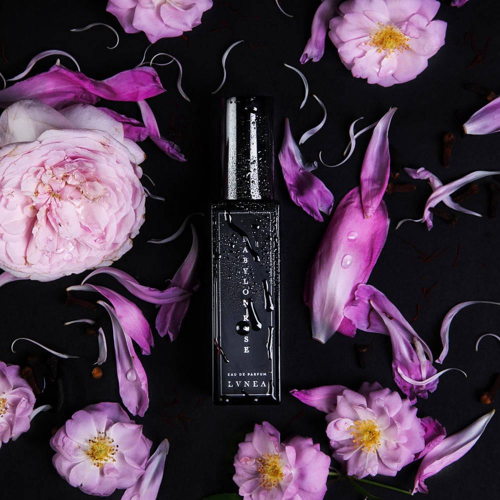 30ml black glass bottle of Babylon Rose, glistening with dew drops, surrounded by fresh roses and seen from overhead.