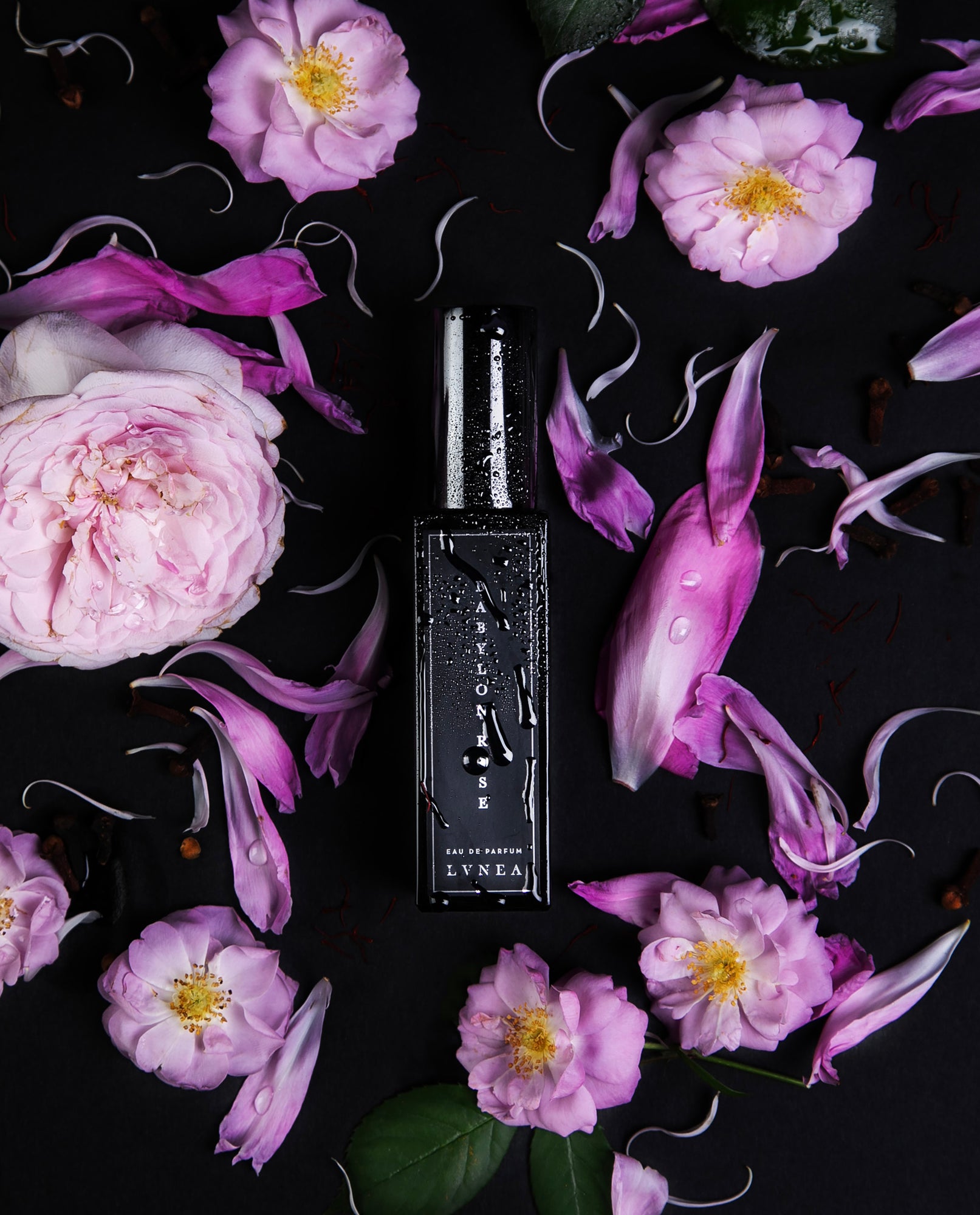 BABYLON ROSE | Limited Re-Release Eau de Parfum ; rose