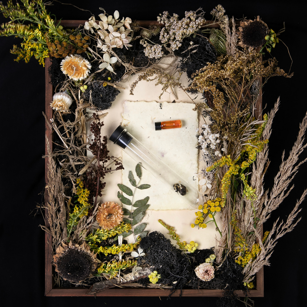 
                      
                        "Bee" diorama; an overhead still life of dried yellow florals, wild grasses, fragrance vials, and elements reminiscent of bees.
                      
                    