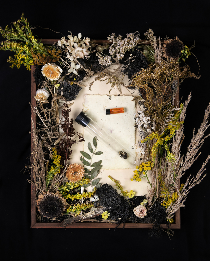 "Bee" diorama; an overhead still life of dried yellow florals, wild grasses, fragrance vials, and elements reminiscent of bees.