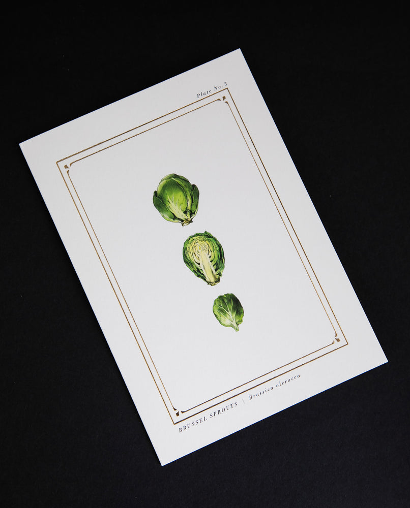 Brussels Sprouts Greeting Card | CATHERINE LEWIS DESIGN