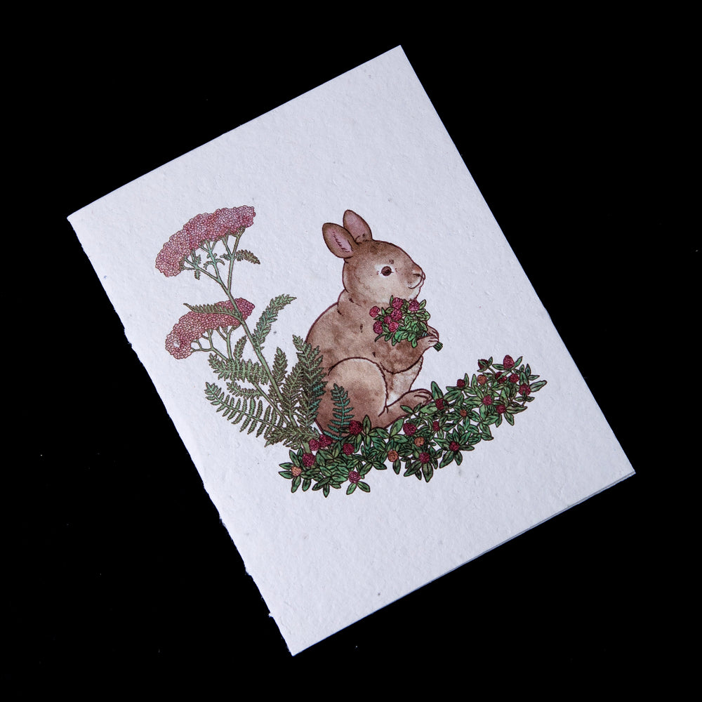 Greeting card on plantable paper, with illustration of a bunny rabbit next to yarrow gathering herbs.