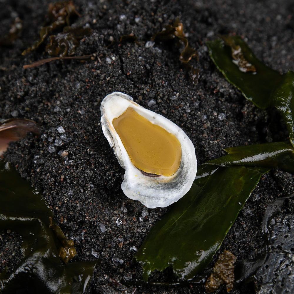 
                      
                        2.5g Cape Pelorum solid perfume sitting on a bed of black sand and seaweed
                      
                    