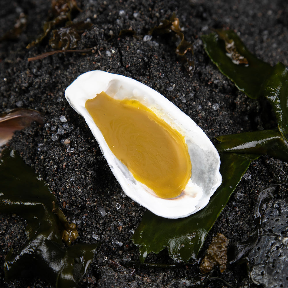 
                      
                        5g Cape Pelorum solid perfume sitting on a bed of black sand and seaweed
                      
                    