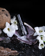  15ml eau de parfum and 5g shell-encased solid perfume of Cape Pelorum, a limited-edition fragrance by LVNEA. They are sitting on a bed of black sand, surrounded by a halved coconut, shells, and white florals.