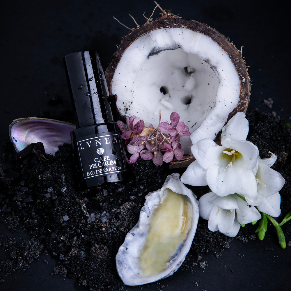 
                      
                         15ml eau de parfum and 5g shell-encased solid perfume of Cape Pelorum, a limited-edition fragrance by LVNEA. They are sitting on a bed of black sand, surrounded by a halved coconut, shells, and white florals.
                      
                    