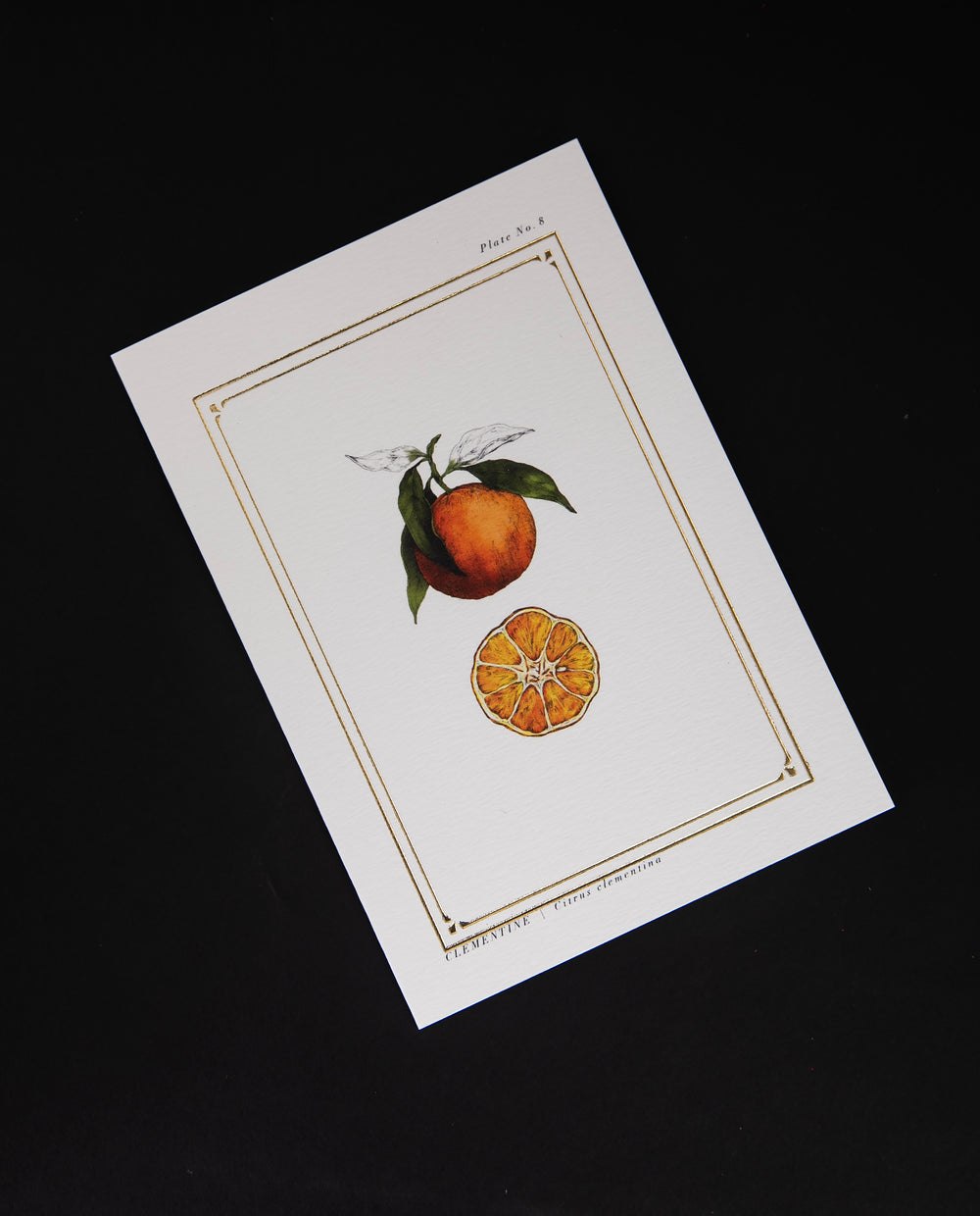 white greeting card featuring a botanical illustration of a clementine and gold foil border, seen from overhead on a black background