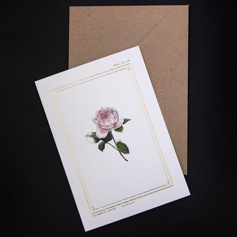 white greeting card and kraft envelope against a black background