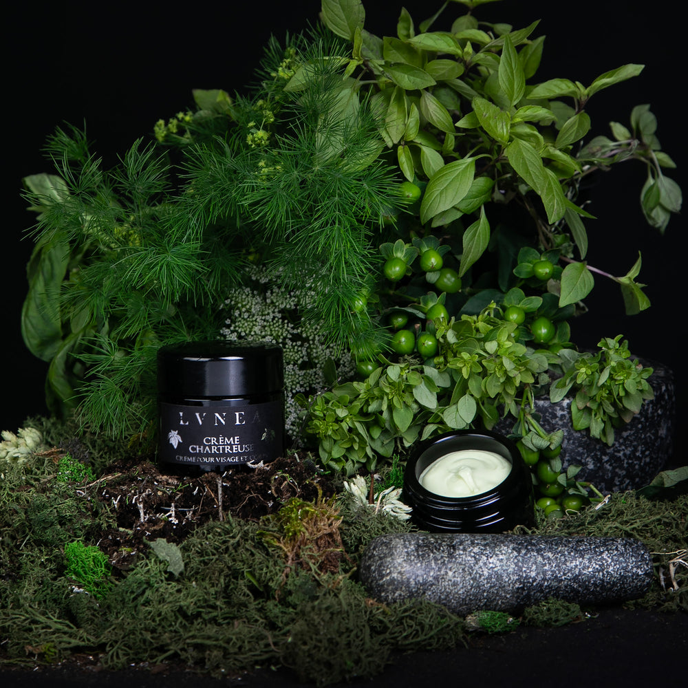 
                      
                        Black glass pot of LVNEA's Crème Chartreuse, propped atop a mound of earth, surrounded by greenery. An open pot sits at the foot of the mound of earth, flanked by a stone mortar and pestle, revealing an unctuous pastel green cream.
                      
                    