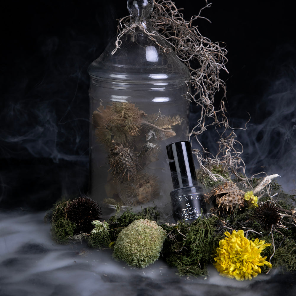 A 15ml black glass bottle of LVNEA's limited edition "Devil's Trumpet" eau de parfum, propped atop a bed of moss in front of a bell jar filled with datura seed pods. A wispy trail of smoke is travelling across the frame.