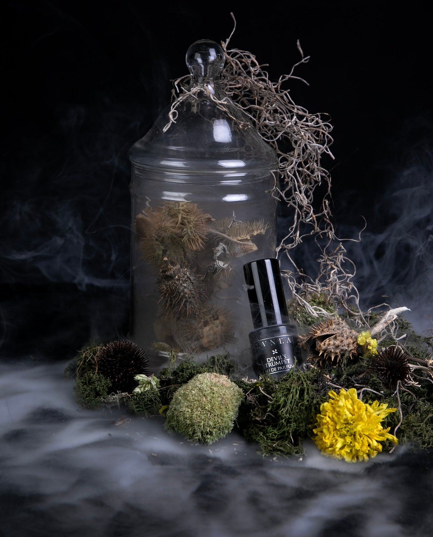 A 15ml black glass bottle of LVNEA's limited edition "Devil's Trumpet" eau de parfum, propped atop a bed of moss in front of a bell jar filled with datura seed pods. A wispy trail of smoke is travelling across the frame.