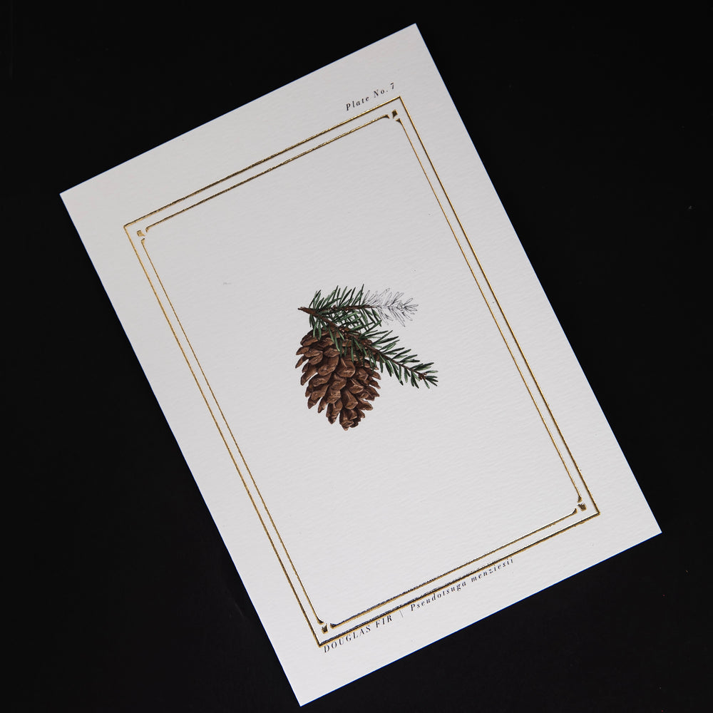 Carte de souhaits "Douglas Fir" | CATHERINE LEWIS DESIGN