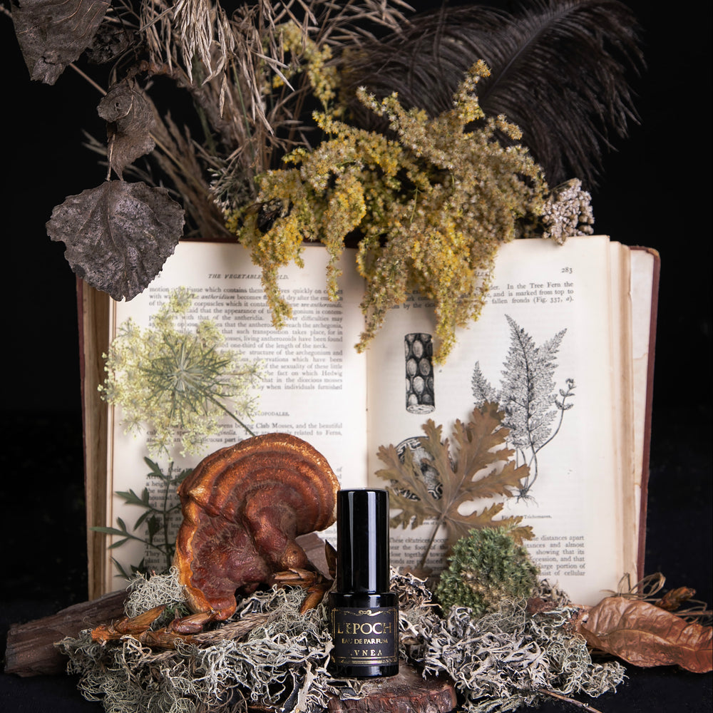 
                      
                        LVNEA's limited edition eau de parfum "Epoch", surrounded by old books and dried botanicals against a black background
                      
                    