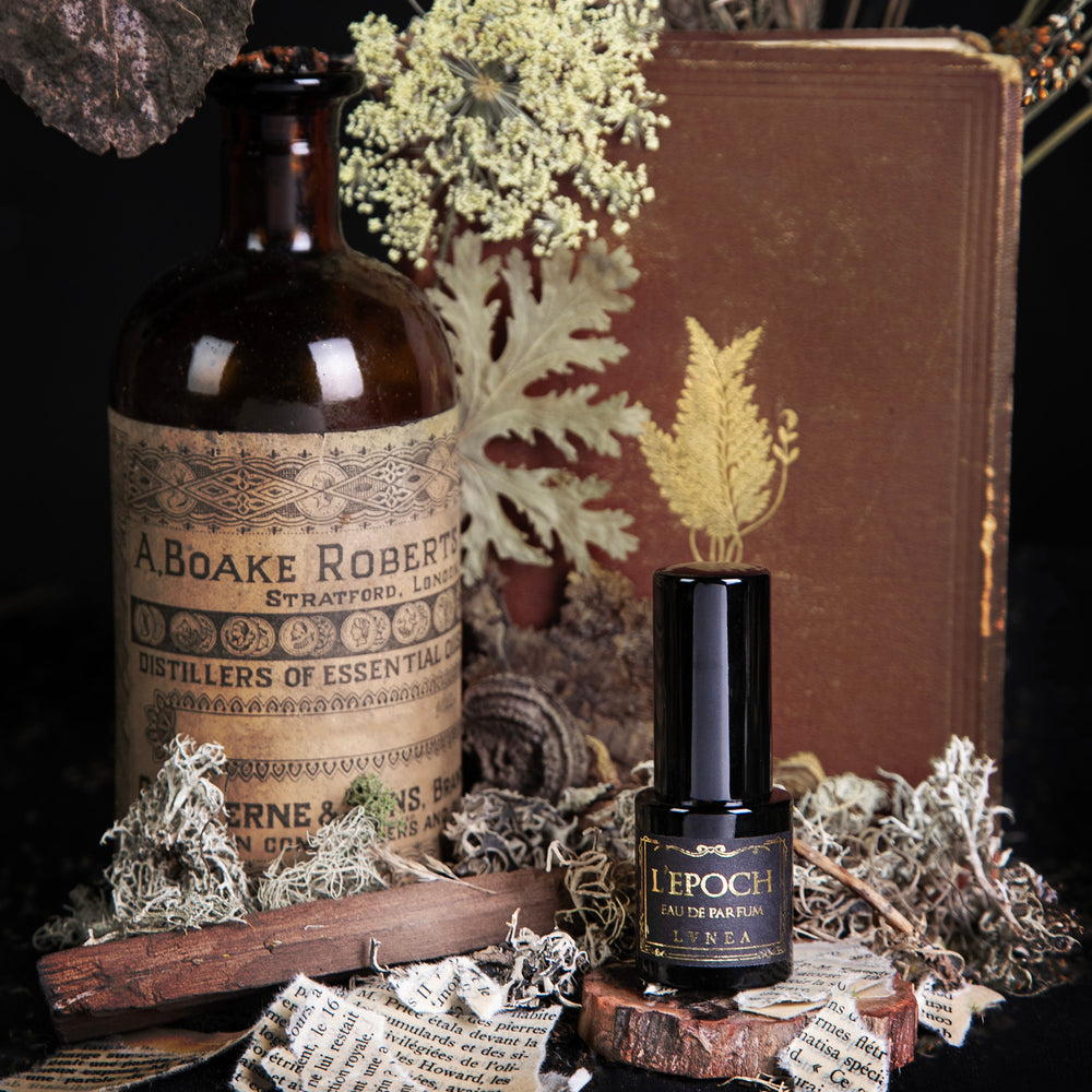 
                      
                        LVNEA's limited edition eau de parfum "Epoch", surrounded by old books and dried botanicals against a black background
                      
                    