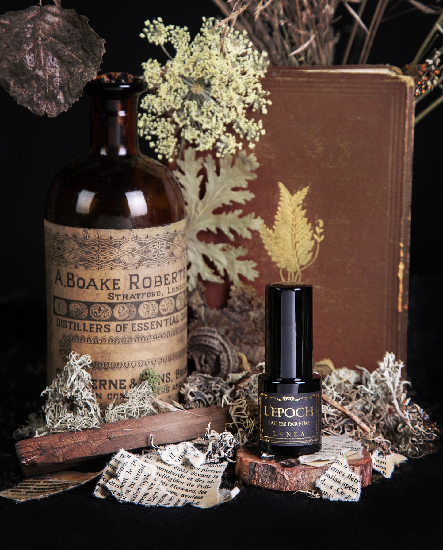 LVNEA's limited edition eau de parfum "Epoch", surrounded by old books and dried botanicals against a black background