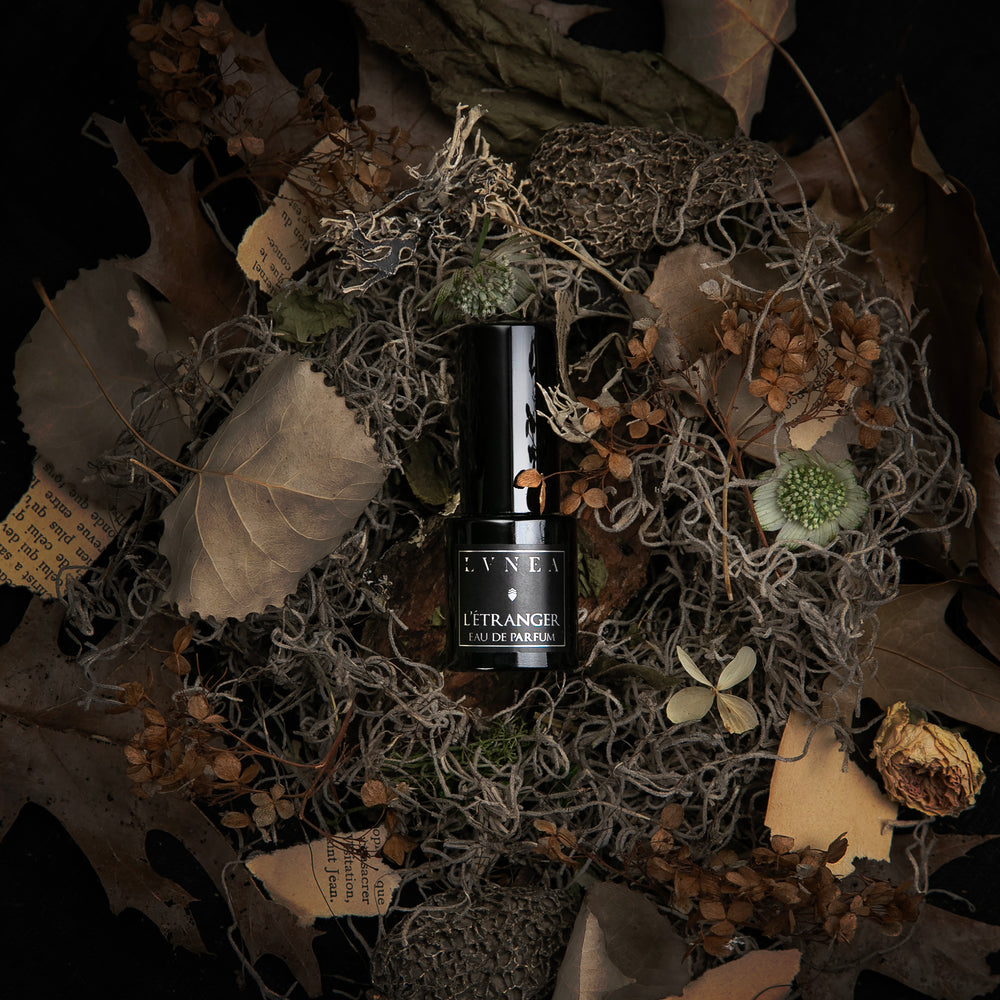 A 15ml bottle of LVNEA's limited-edition L'Étranger' eau de parfum, seen from above and nestled in a bed of dried brown botanicals and torn sheets of aged paper.