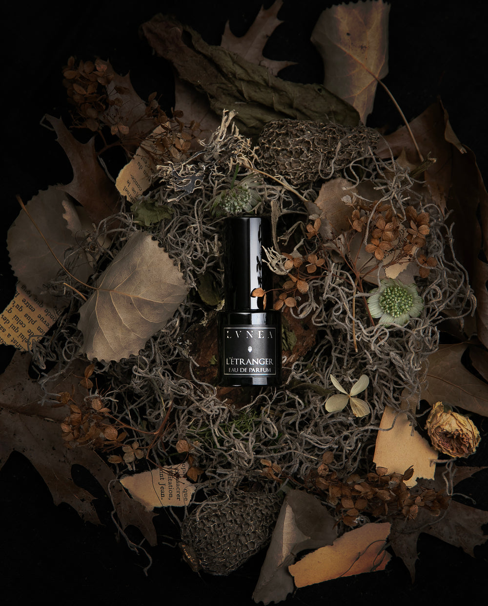 A 15ml bottle of LVNEA's limited-edition L'Étranger' eau de parfum, seen from above and nestled in a bed of dried brown botanicals and torn sheets of aged paper.