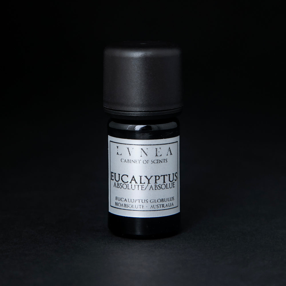 
                      
                        5ml black glass bottle of LVNEA's eucalyptus absolute
                      
                    