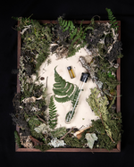 "Fern" diorama; an overhead still life of dried ferns, moss, ivy, and other verdant specimens reminiscent of the "fougère" fragrance family.