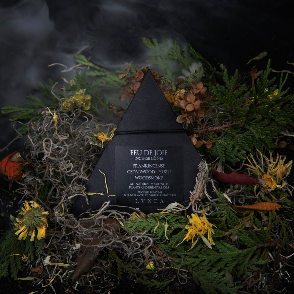 
                      
                        Closed box of LVNEA's 'Feu de Joie' incense sitting on a bed of moss and dried red and yellow botanicals on a black background, with a wisp of smoke in the back.
                      
                    