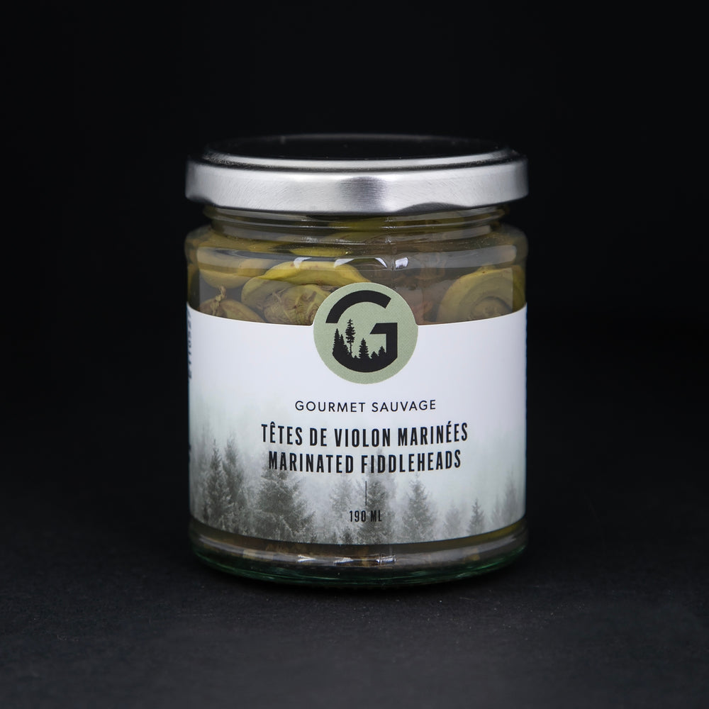 Clear glass jar with metal lid of Gourmet Sauvage's marinated fiddleheads, sitting on black background