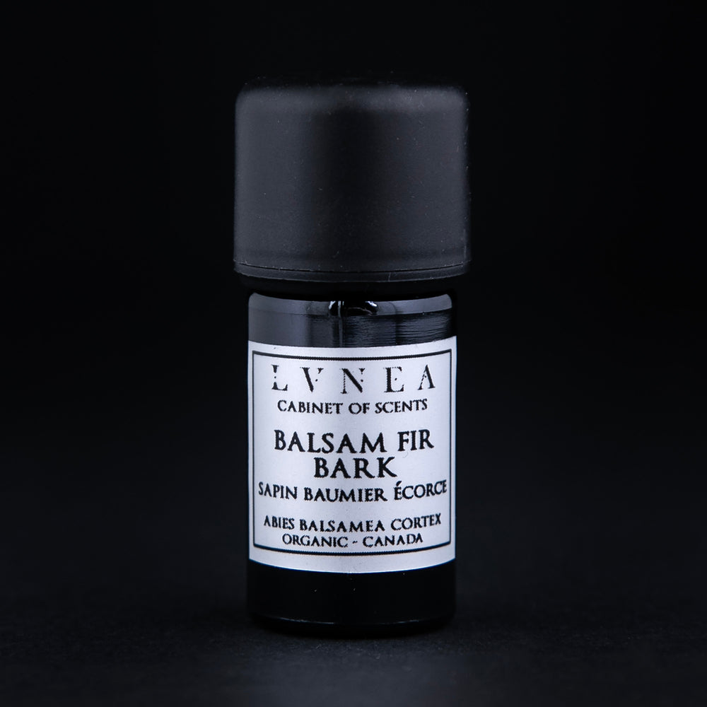 5ml black glass bottle of Balsam Fir Bark essential oil against black background