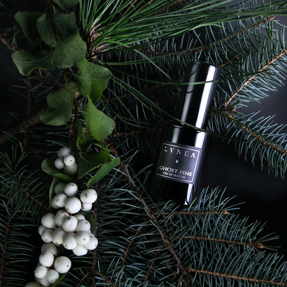 GHOST PINE | Eau de parfum - aiguilles de pin, feuillage, mousse