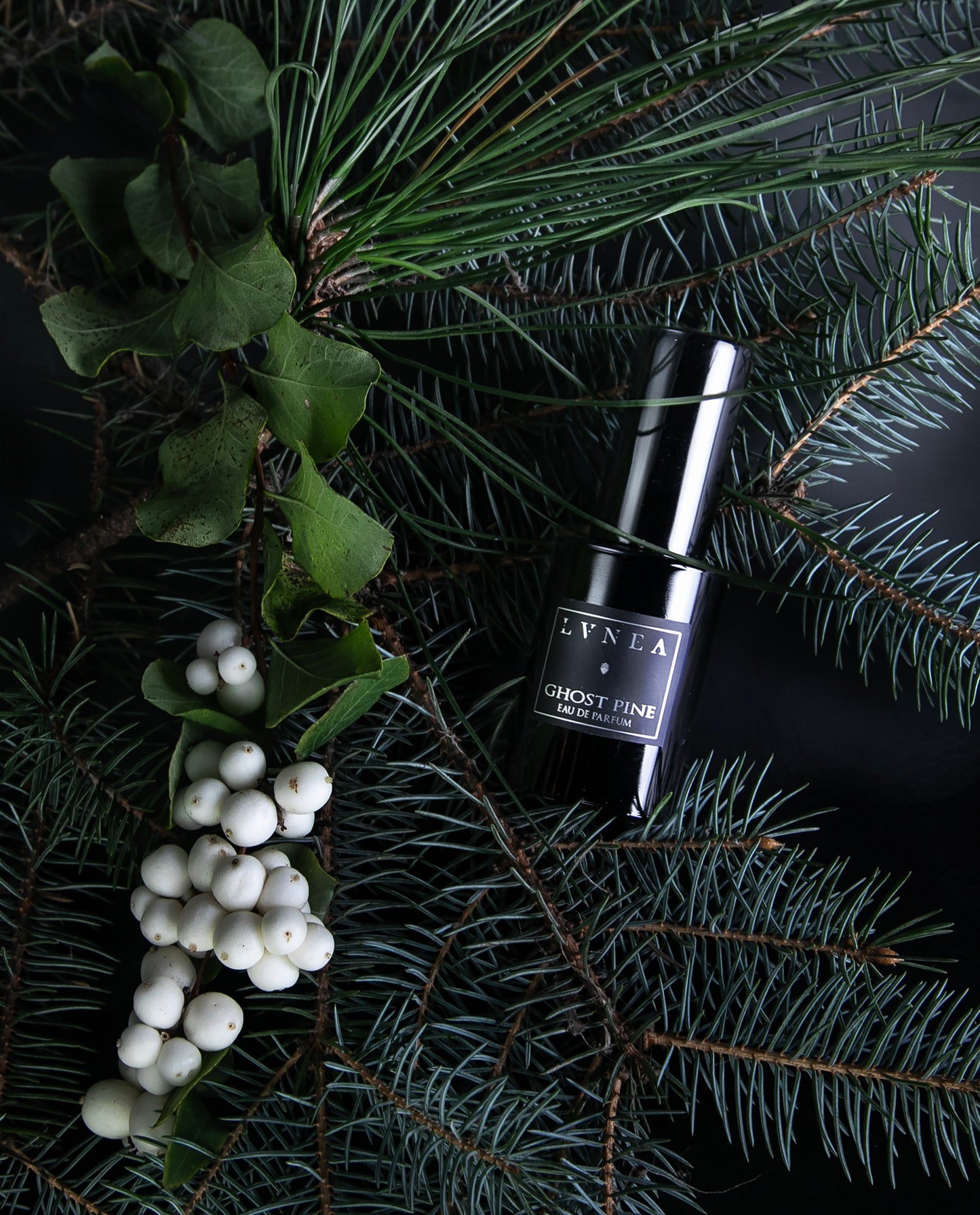 GHOST PINE | Eau de parfum - aiguilles de pin, feuillage, mousse