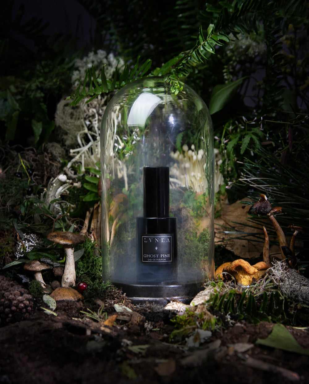 GHOST PINE | Eau de parfum - aiguilles de pin, feuillage, mousse