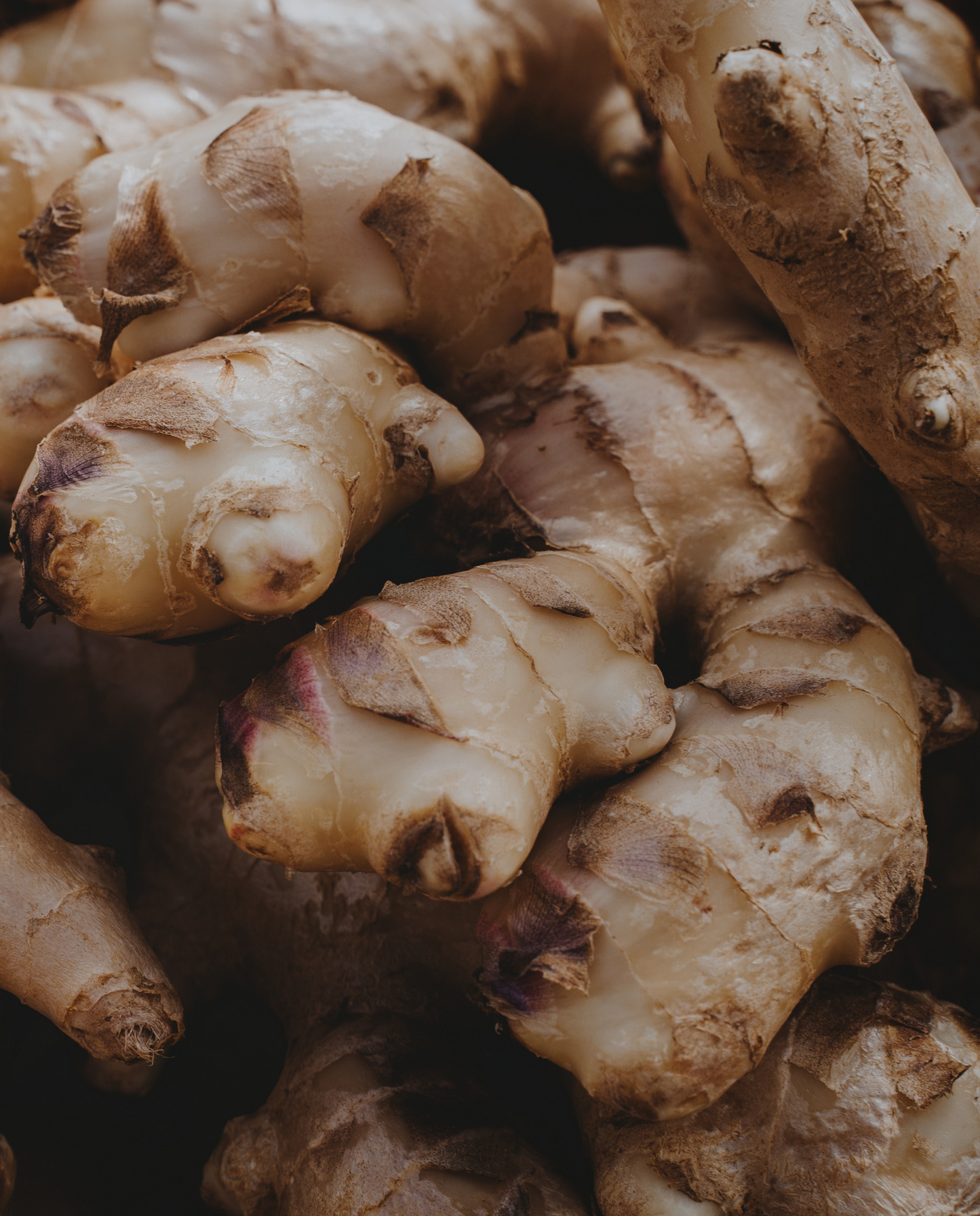 close up of ginger root