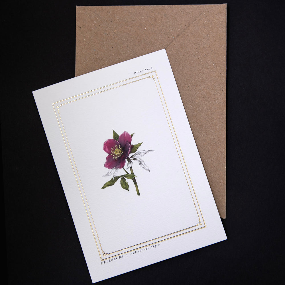 
                      
                        white card and kraft envelope against black background
                      
                    