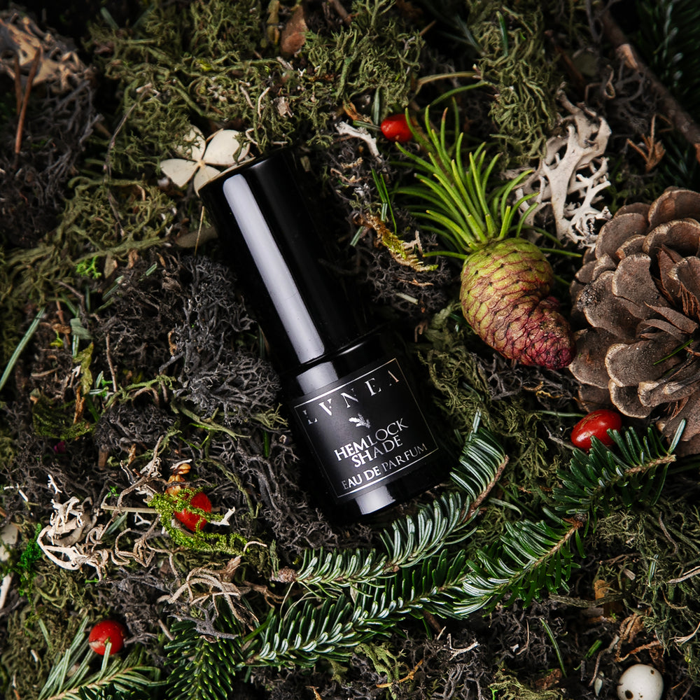 
                      
                        A 15ml black glass bottle of Hemlock Shade Eau de parfum seen from above, nestled amongst moss, pine cones, conifers, and other botanicals.
                      
                    