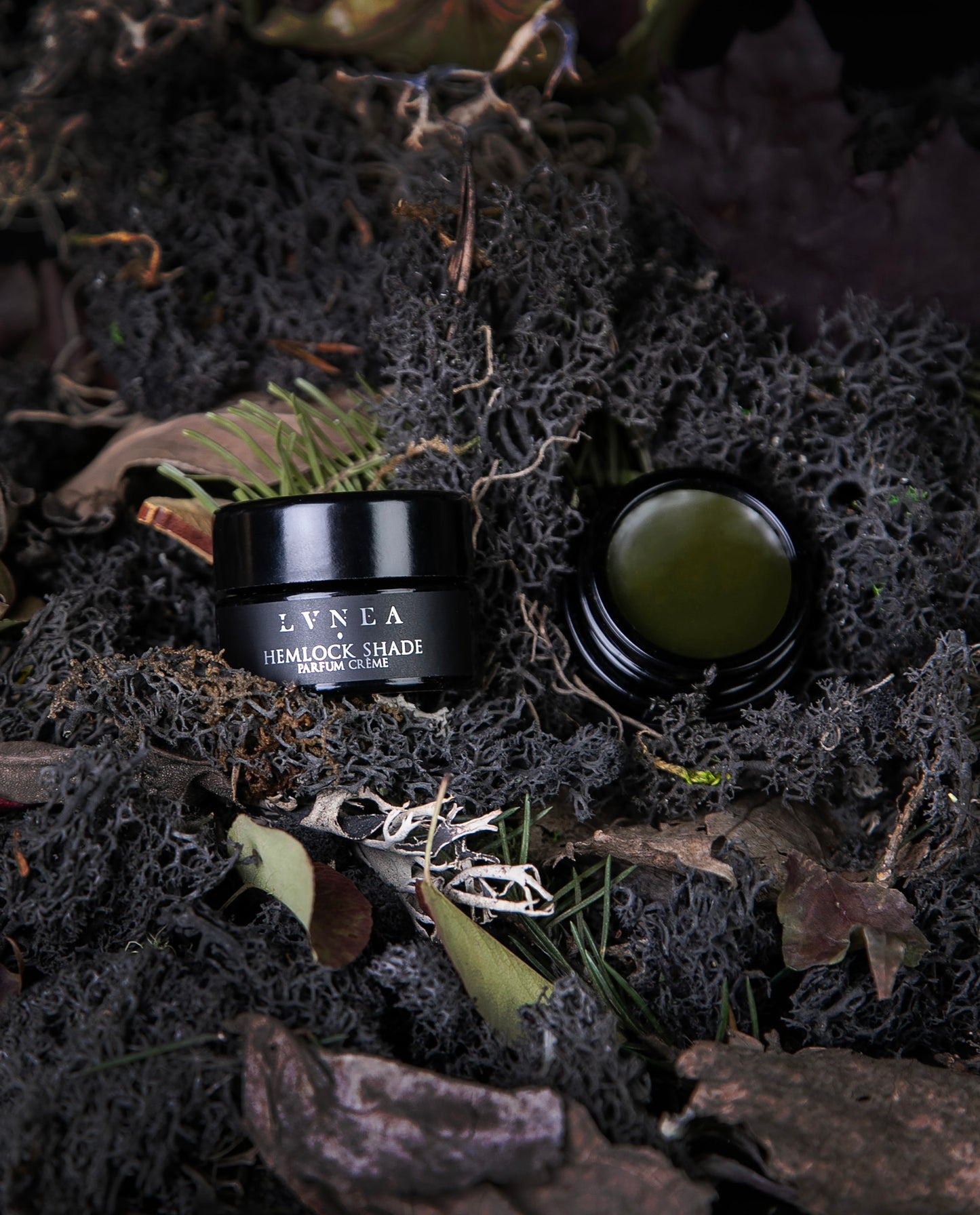 HEMLOCK SHADE | Parfum Crème - black spruce, hemlock, sandalwood