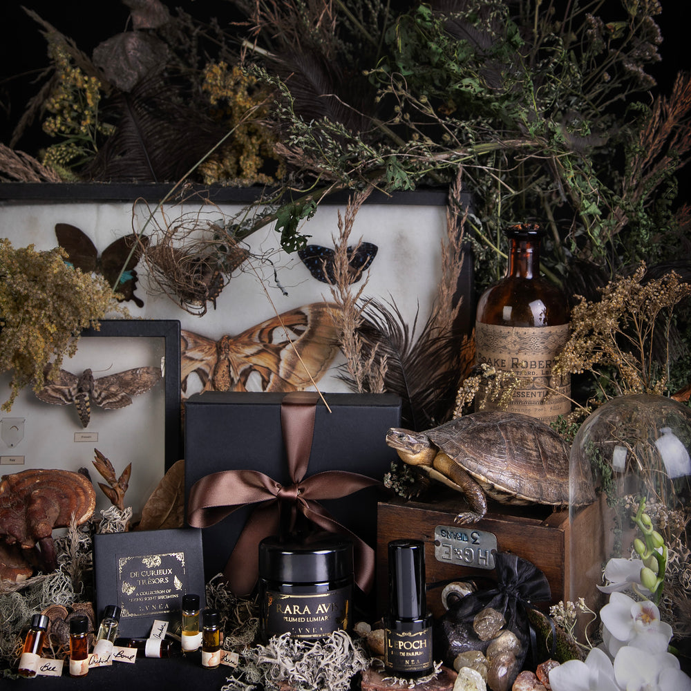 
                      
                        items from LVNEA's limited edition "Histoires Naturelles" box  in a still life propped around an antique wooden crate and various natural specimens
                      
                    