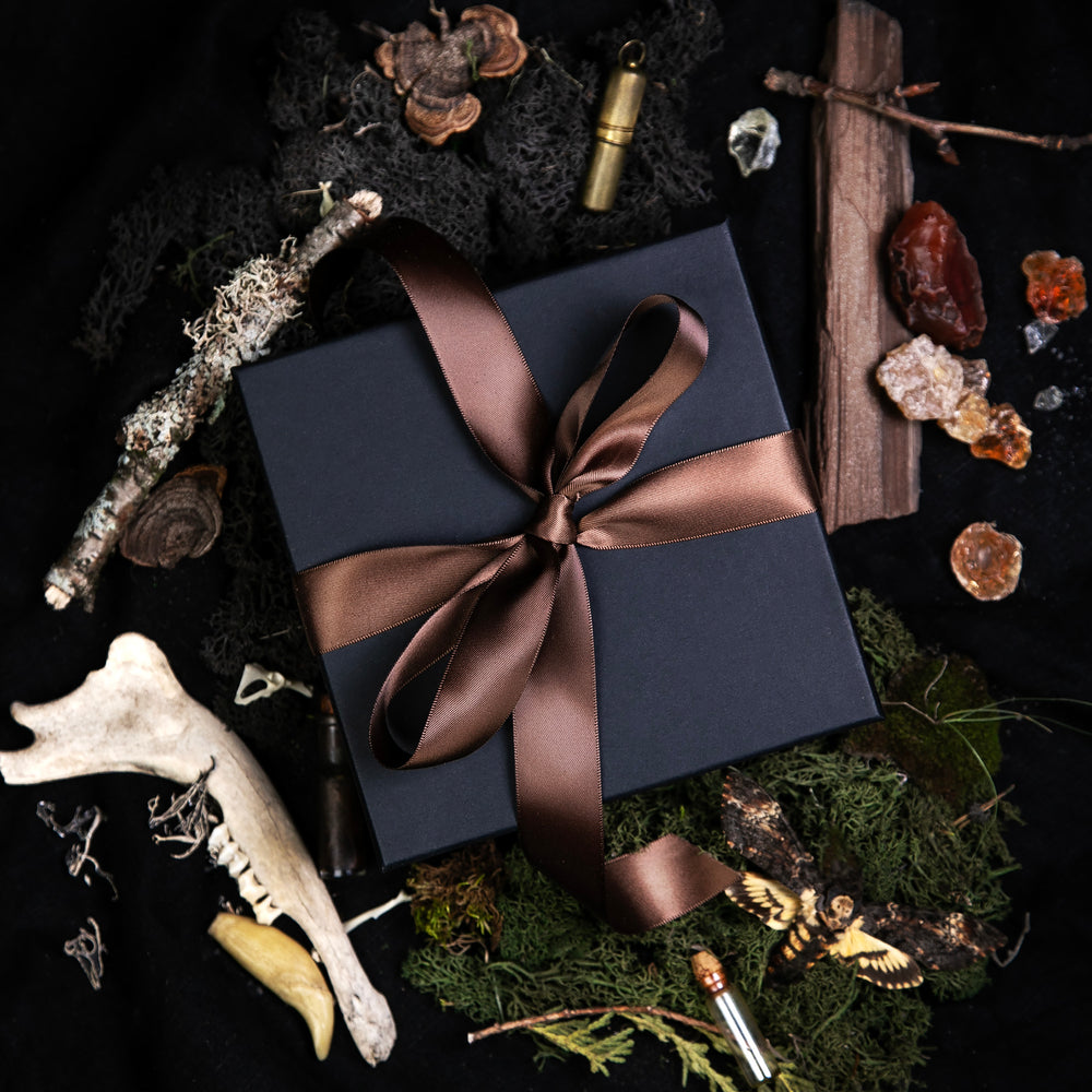 black box tied with brown satin ribbon, surrounded by curiosities from the natural world