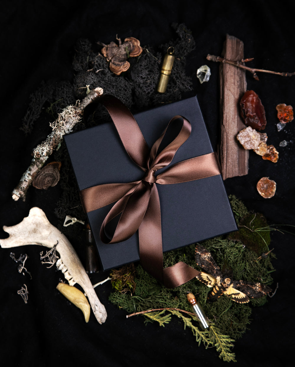 black box tied with brown satin ribbon, surrounded by curiosities from the natural world