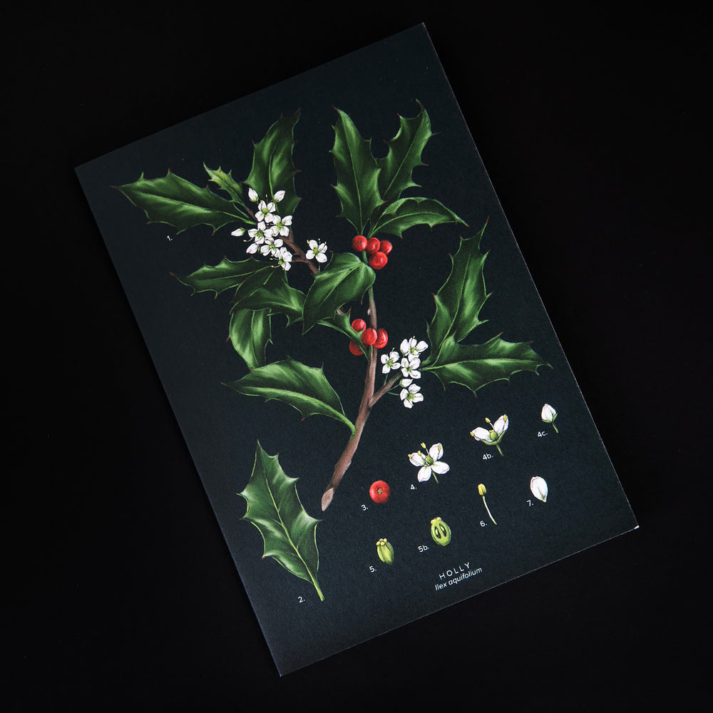  Carte de souhaits "Holly" | CATHERINE LEWIS DESIGN