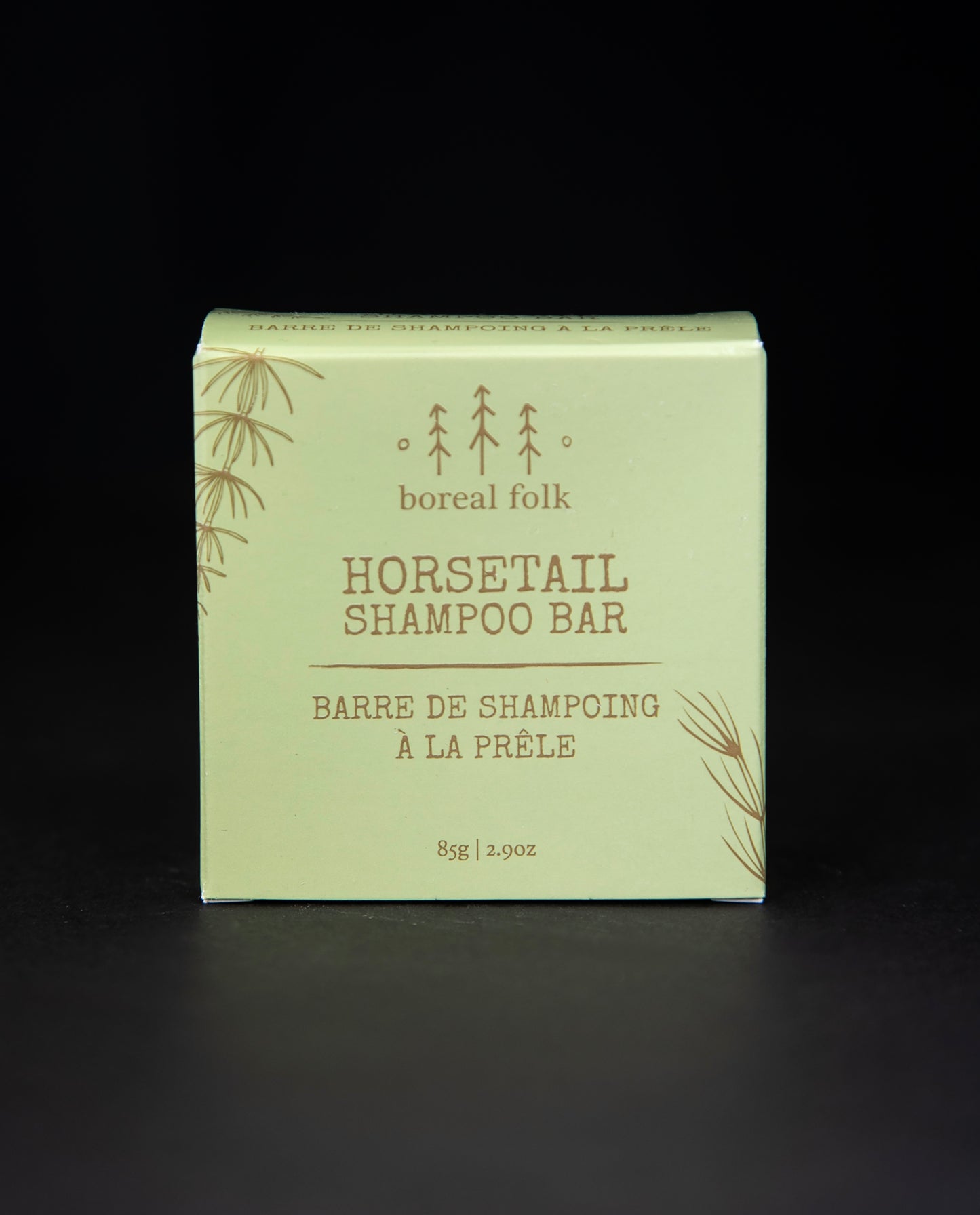 light green cardboard box of Boreal Folk's horsetail shampoo against a black background