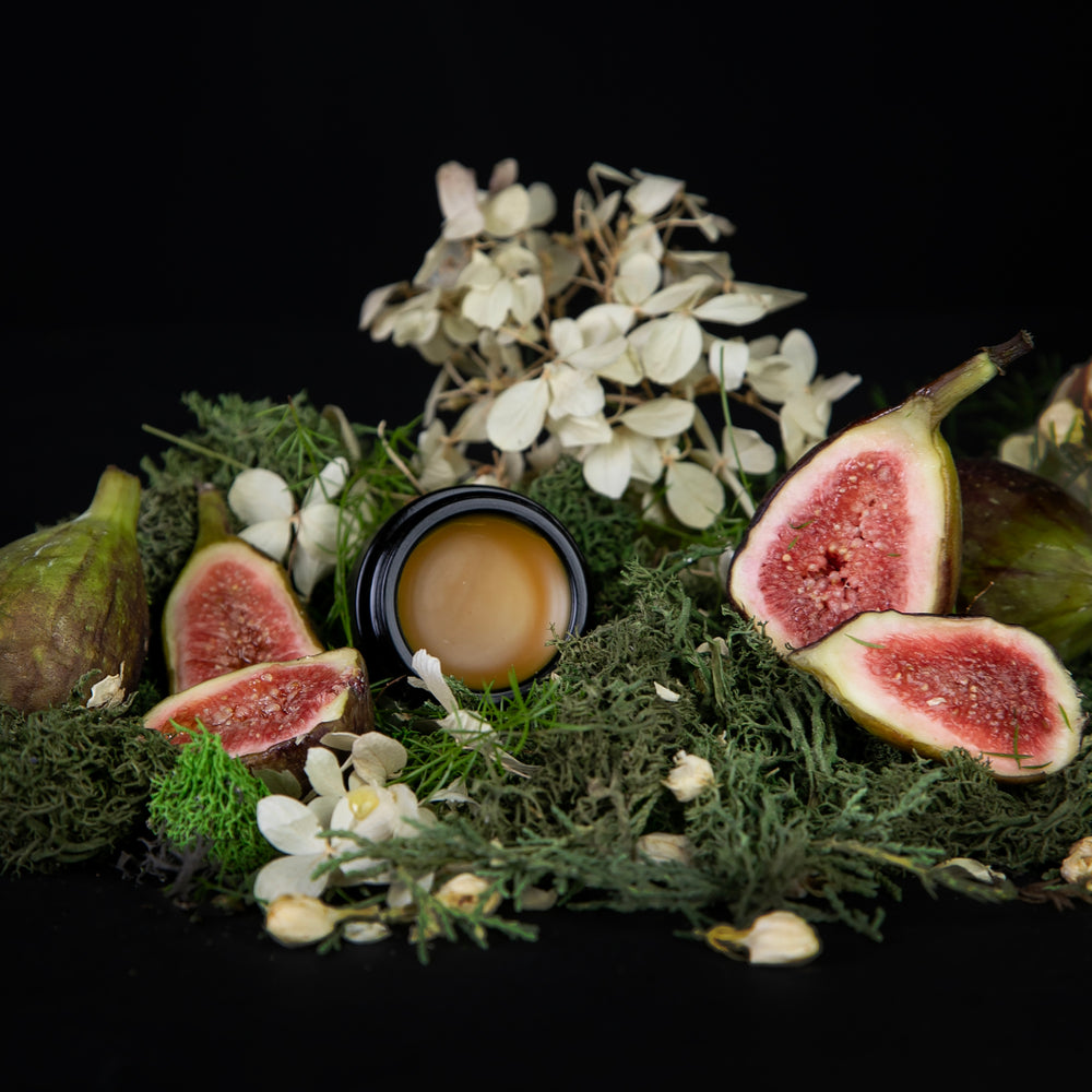 
                      
                        10g black glass pot of LVNEA's 'Jasmine & Fig' solid perfume, lid open to reveal a deep yellow balm. The jar is nestled amongst greenery, white florals, and fresh juicy figs.
                      
                    